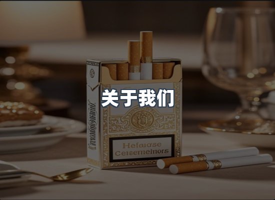 专业团队